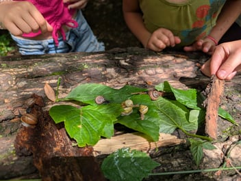 enfants jouant dans la nature garderie privée montréal et camp de jour Jardin William